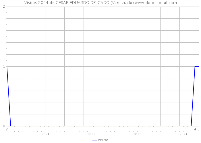Visitas 2024 de CESAR EDUARDO DELGADO (Venezuela) 