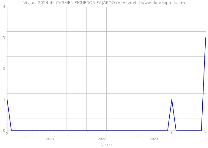 Visitas 2024 de CARMEN FIGUEROA FAJARDO (Venezuela) 
