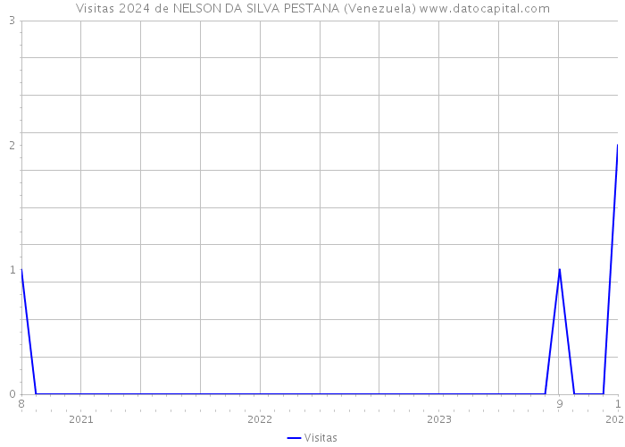 Visitas 2024 de NELSON DA SILVA PESTANA (Venezuela) 