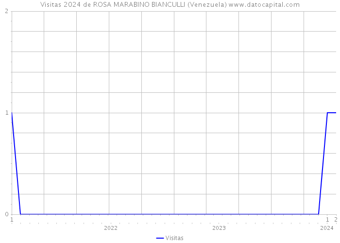 Visitas 2024 de ROSA MARABINO BIANCULLI (Venezuela) 