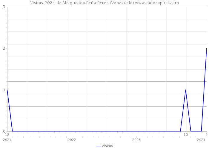 Visitas 2024 de Maigualida Peña Perez (Venezuela) 