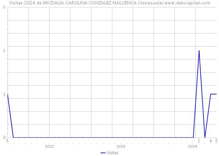 Visitas 2024 de MIGDALIA CAROLINA GONZALEZ MALUENGA (Venezuela) 