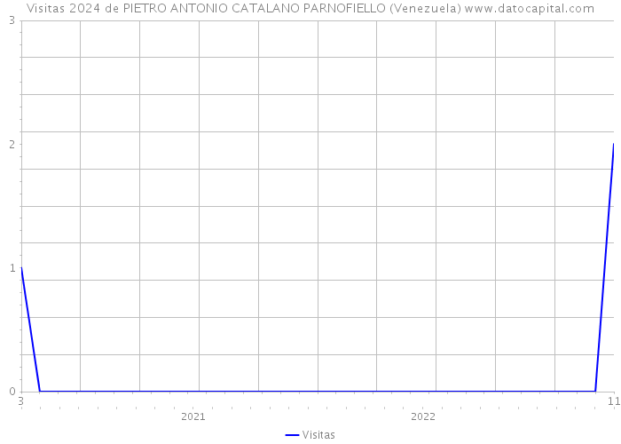 Visitas 2024 de PIETRO ANTONIO CATALANO PARNOFIELLO (Venezuela) 
