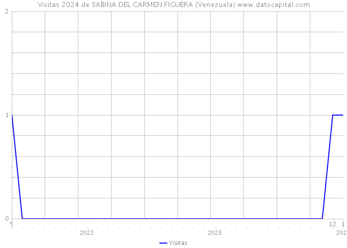 Visitas 2024 de SABINA DEL CARMEN FIGUERA (Venezuela) 