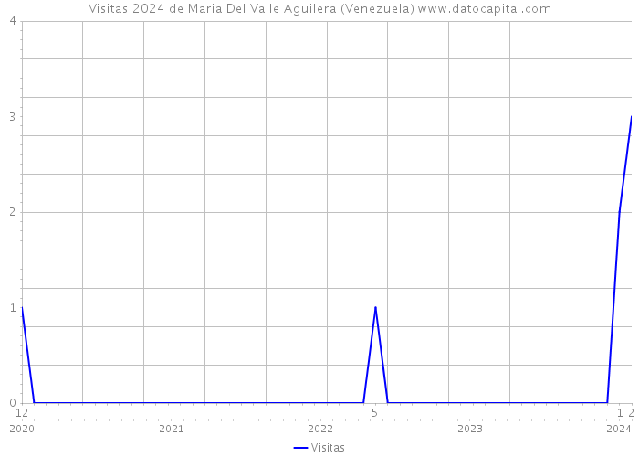 Visitas 2024 de Maria Del Valle Aguilera (Venezuela) 