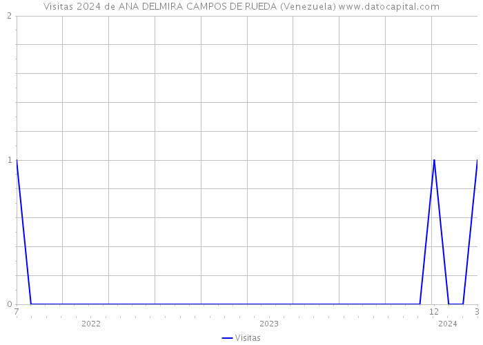 Visitas 2024 de ANA DELMIRA CAMPOS DE RUEDA (Venezuela) 