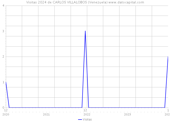 Visitas 2024 de CARLOS VILLALOBOS (Venezuela) 