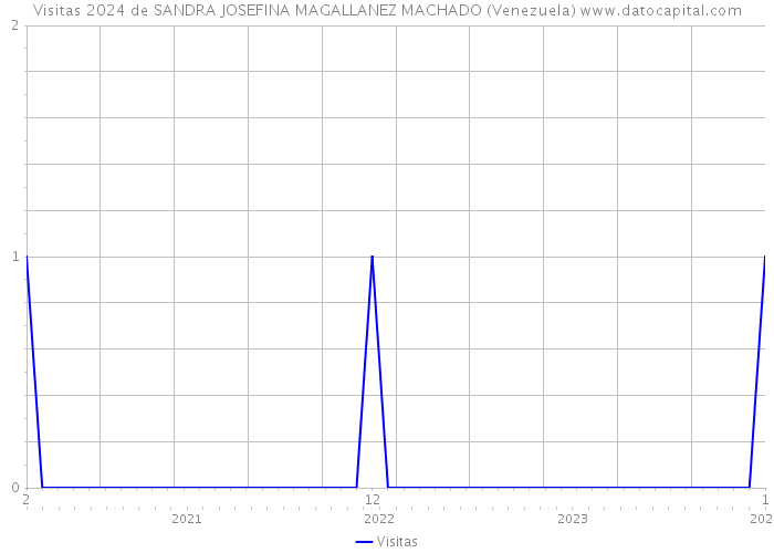 Visitas 2024 de SANDRA JOSEFINA MAGALLANEZ MACHADO (Venezuela) 