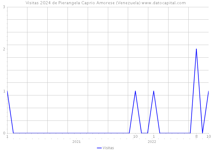 Visitas 2024 de Pierangela Caprio Amorese (Venezuela) 