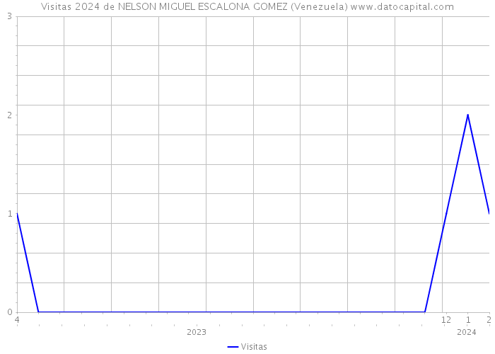 Visitas 2024 de NELSON MIGUEL ESCALONA GOMEZ (Venezuela) 