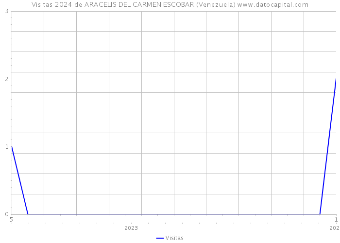Visitas 2024 de ARACELIS DEL CARMEN ESCOBAR (Venezuela) 