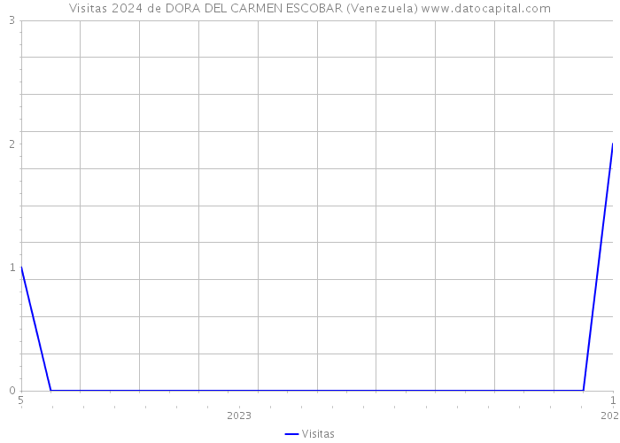Visitas 2024 de DORA DEL CARMEN ESCOBAR (Venezuela) 