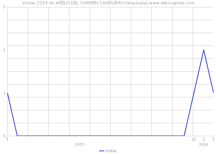 Visitas 2024 de ARELIS DEL CARMEN CANDURIN (Venezuela) 