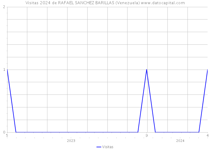 Visitas 2024 de RAFAEL SANCHEZ BARILLAS (Venezuela) 