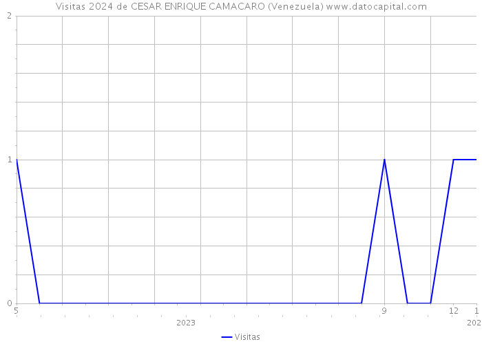 Visitas 2024 de CESAR ENRIQUE CAMACARO (Venezuela) 