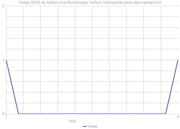 Visitas 2024 de Anibal Jose Montenegro Nuñez (Venezuela) 