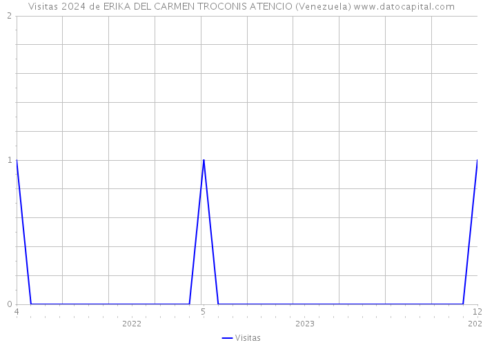 Visitas 2024 de ERIKA DEL CARMEN TROCONIS ATENCIO (Venezuela) 