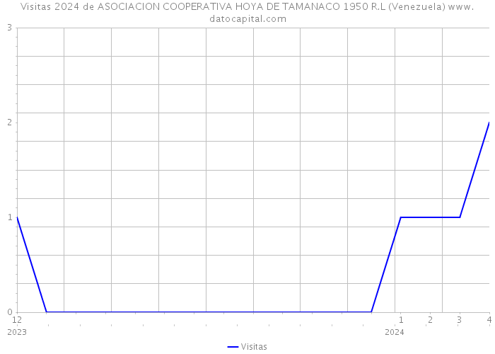 Visitas 2024 de ASOCIACION COOPERATIVA HOYA DE TAMANACO 1950 R.L (Venezuela) 