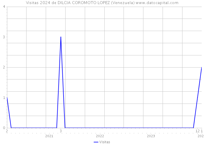 Visitas 2024 de DILCIA COROMOTO LOPEZ (Venezuela) 