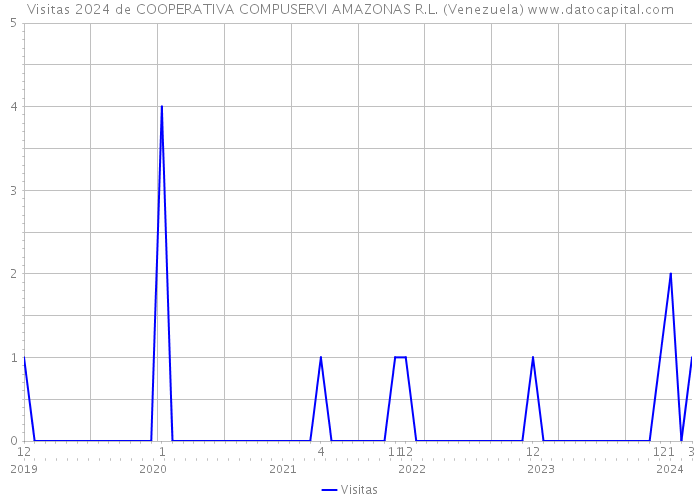 Visitas 2024 de COOPERATIVA COMPUSERVI AMAZONAS R.L. (Venezuela) 