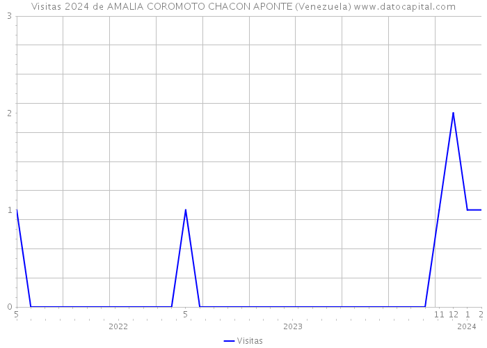Visitas 2024 de AMALIA COROMOTO CHACON APONTE (Venezuela) 