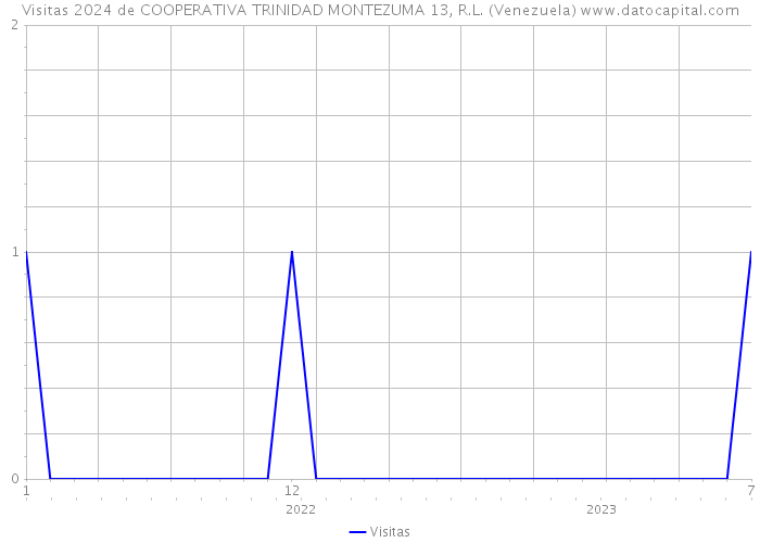 Visitas 2024 de COOPERATIVA TRINIDAD MONTEZUMA 13, R.L. (Venezuela) 