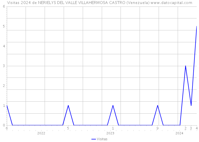 Visitas 2024 de NERIELYS DEL VALLE VILLAHERMOSA CASTRO (Venezuela) 