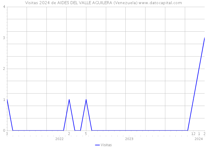 Visitas 2024 de AIDES DEL VALLE AGUILERA (Venezuela) 