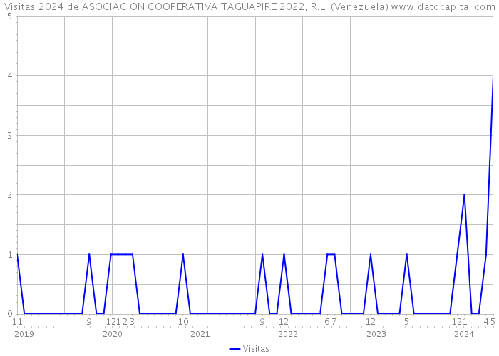 Visitas 2024 de ASOCIACION COOPERATIVA TAGUAPIRE 2022, R.L. (Venezuela) 