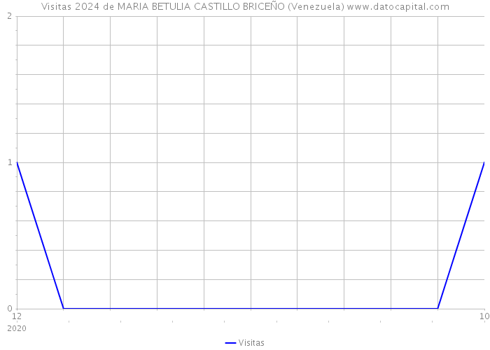 Visitas 2024 de MARIA BETULIA CASTILLO BRICEÑO (Venezuela) 