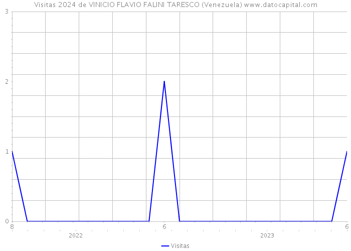 Visitas 2024 de VINICIO FLAVIO FALINI TARESCO (Venezuela) 