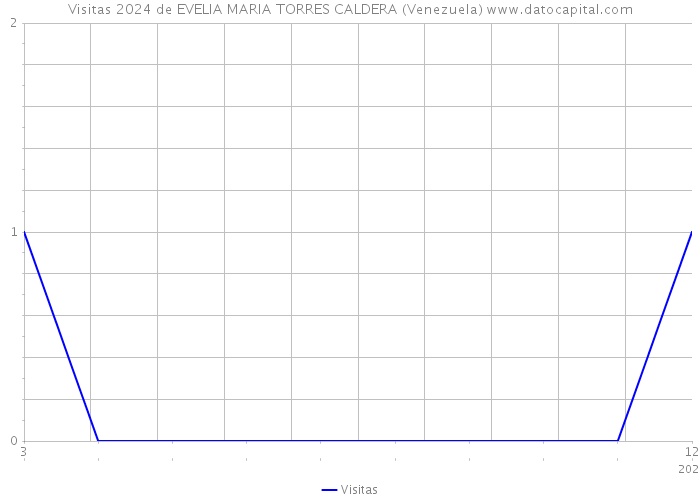 Visitas 2024 de EVELIA MARIA TORRES CALDERA (Venezuela) 