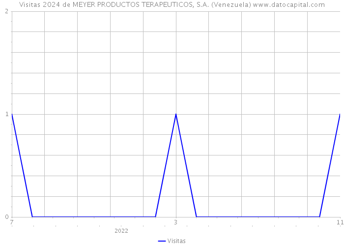 Visitas 2024 de MEYER PRODUCTOS TERAPEUTICOS, S.A. (Venezuela) 