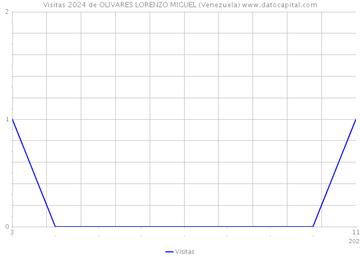 Visitas 2024 de OLIVARES LORENZO MIGUEL (Venezuela) 