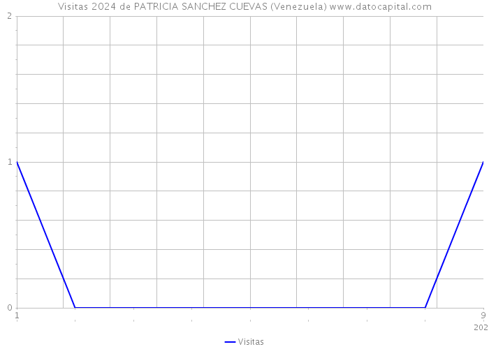 Visitas 2024 de PATRICIA SANCHEZ CUEVAS (Venezuela) 