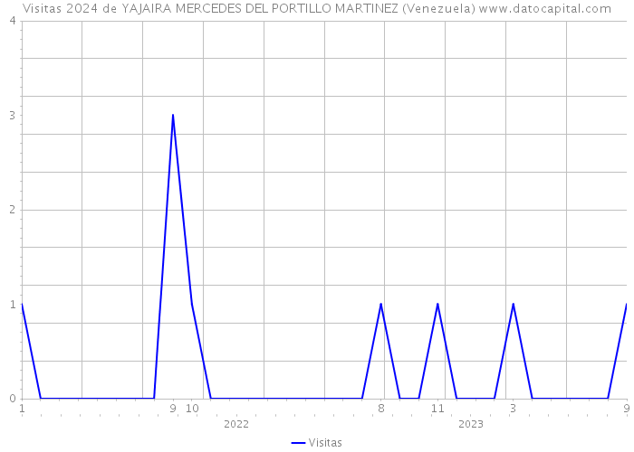 Visitas 2024 de YAJAIRA MERCEDES DEL PORTILLO MARTINEZ (Venezuela) 