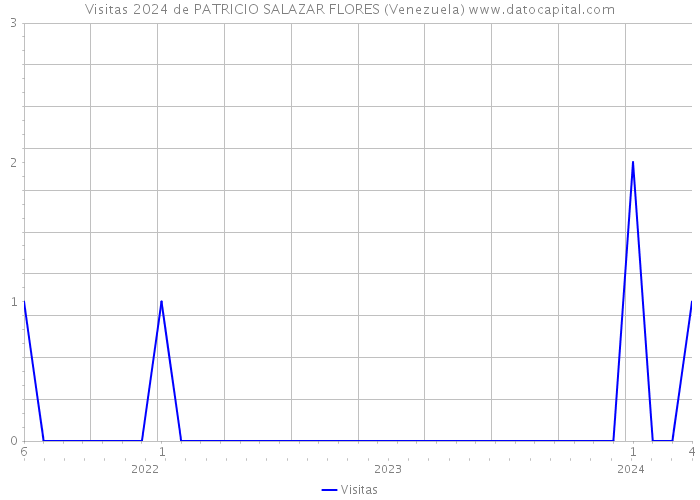 Visitas 2024 de PATRICIO SALAZAR FLORES (Venezuela) 