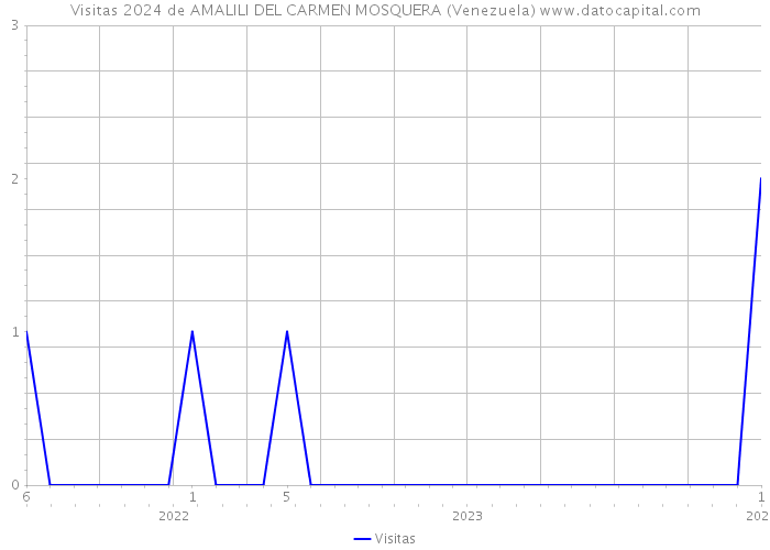 Visitas 2024 de AMALILI DEL CARMEN MOSQUERA (Venezuela) 