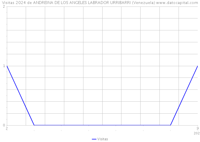 Visitas 2024 de ANDREINA DE LOS ANGELES LABRADOR URRIBARRI (Venezuela) 