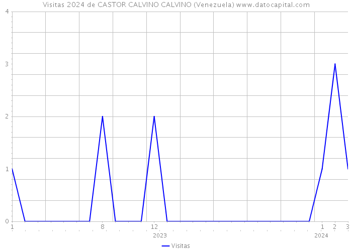Visitas 2024 de CASTOR CALVINO CALVINO (Venezuela) 