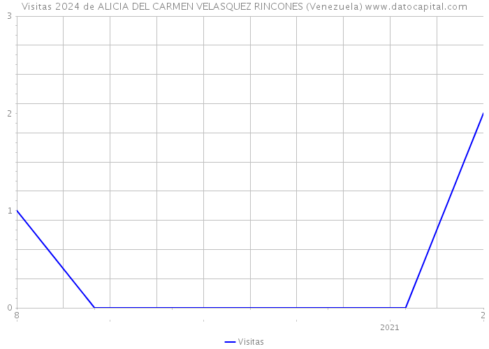 Visitas 2024 de ALICIA DEL CARMEN VELASQUEZ RINCONES (Venezuela) 