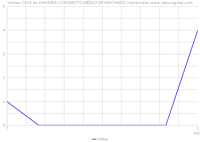 Visitas 2024 de DIANORA COROMOTO MEDICI DE MACHADO (Venezuela) 