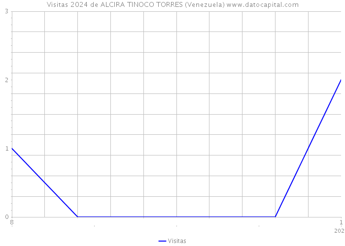 Visitas 2024 de ALCIRA TINOCO TORRES (Venezuela) 
