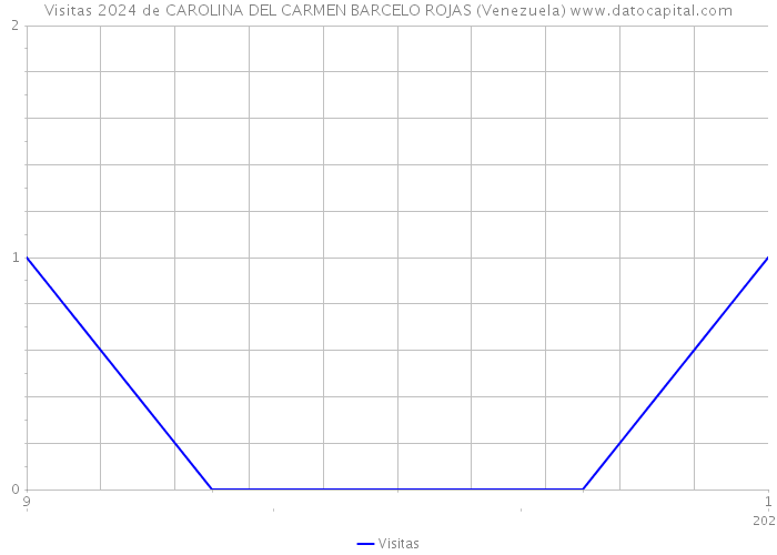 Visitas 2024 de CAROLINA DEL CARMEN BARCELO ROJAS (Venezuela) 