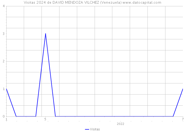 Visitas 2024 de DAVID MENDOZA VILCHEZ (Venezuela) 