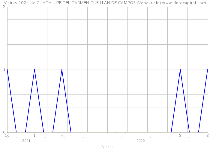 Visitas 2024 de GUADALUPE DEL CARMEN CUBILLAN DE CAMPOS (Venezuela) 