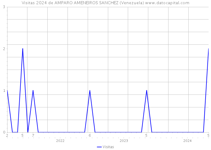 Visitas 2024 de AMPARO AMENEIROS SANCHEZ (Venezuela) 