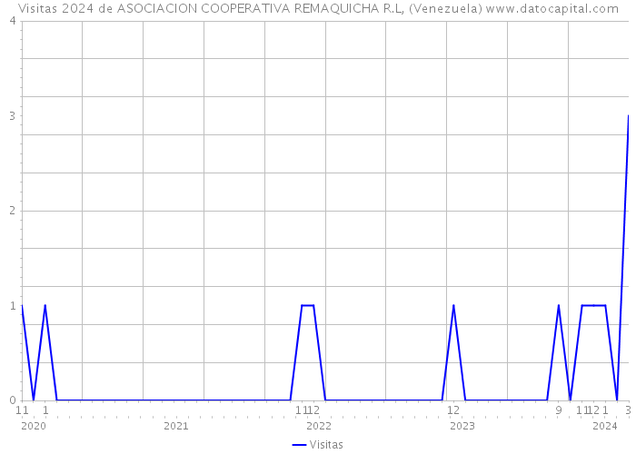 Visitas 2024 de ASOCIACION COOPERATIVA REMAQUICHA R.L, (Venezuela) 