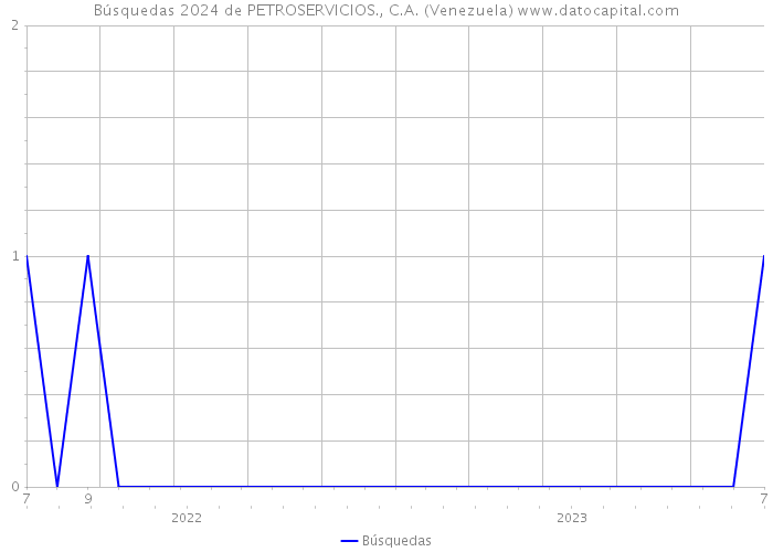 Búsquedas 2024 de PETROSERVICIOS., C.A. (Venezuela) 