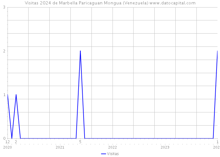 Visitas 2024 de Marbella Paricaguan Mongua (Venezuela) 